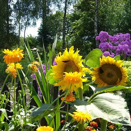 Tranquil In With Private Garden, Cleaning Included Βίλα