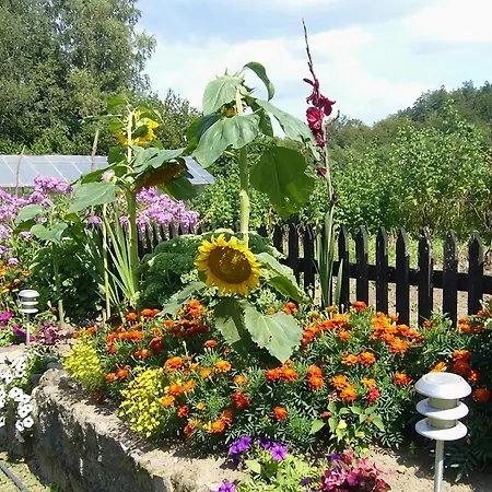 Βίλα Tranquil In With Private Garden, Cleaning Included Pollnow